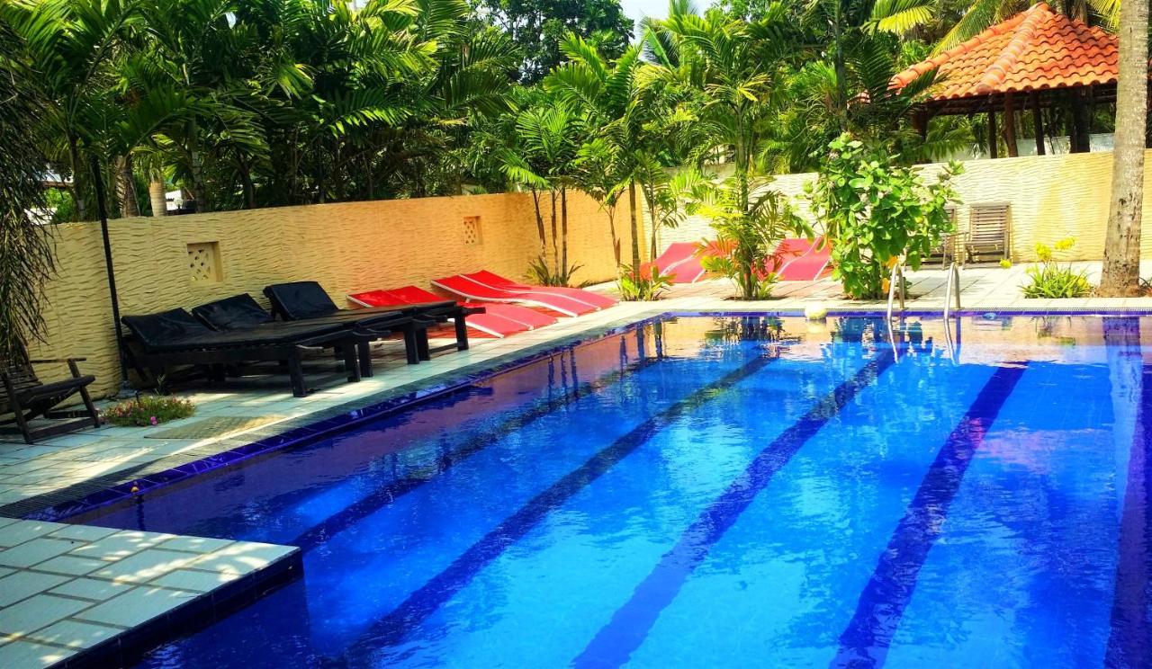 Maple Leaf Hotel Negombo Zewnętrze zdjęcie