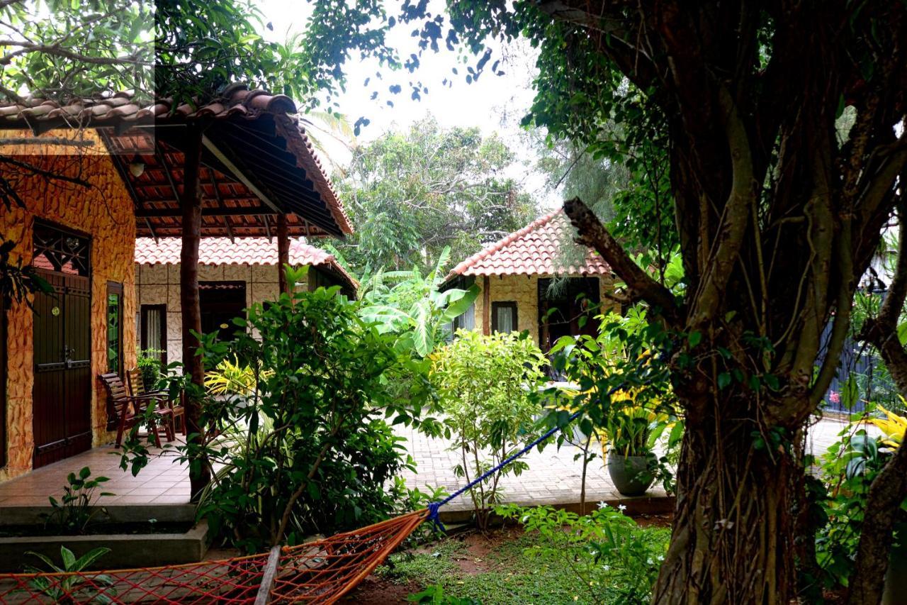 Maple Leaf Hotel Negombo Zewnętrze zdjęcie